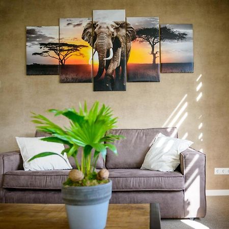 Breezand Appartement De Witte Brug מראה חיצוני תמונה